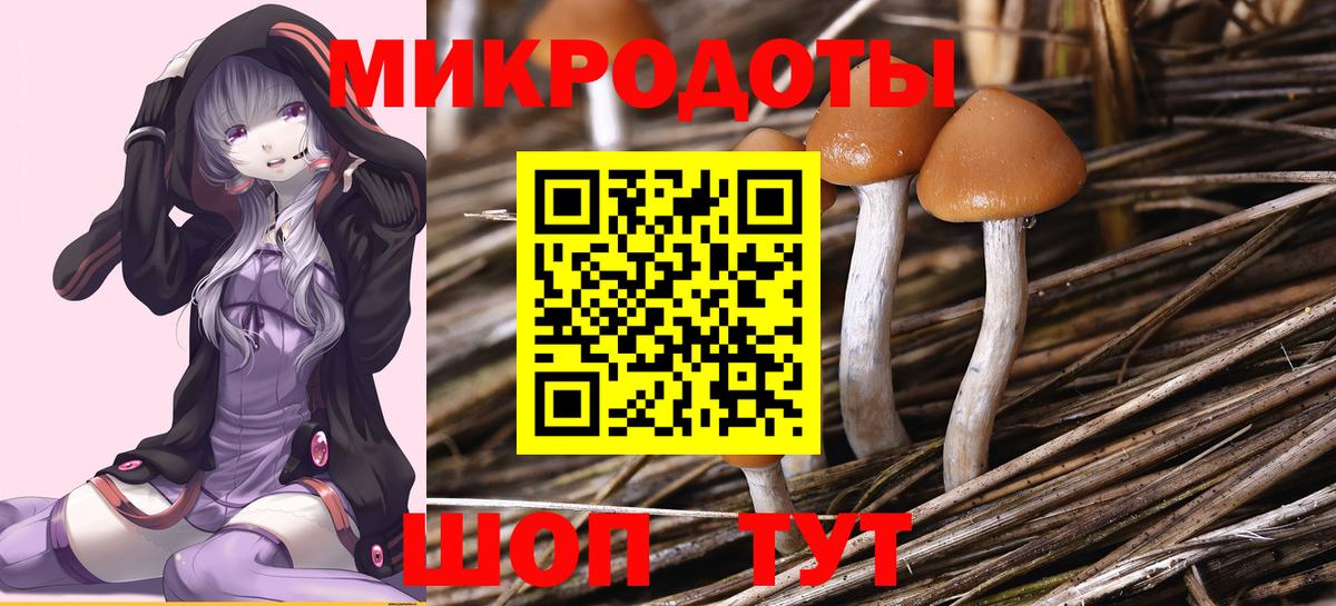 Псилоцибиновые грибы GOLDEN TEACHER Иваново